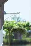 wall hook elegance 30cm anthracite